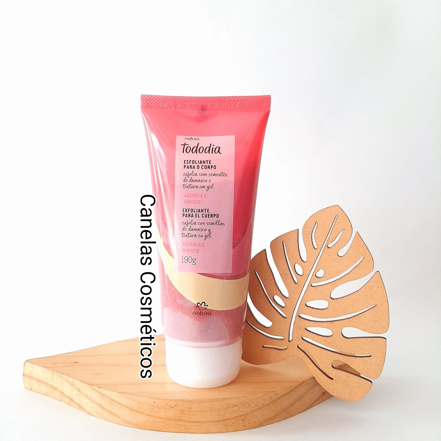 EXFOLIANTE CORPORAL ACEROLA E HIBISCO LINEA TODODIA 190g