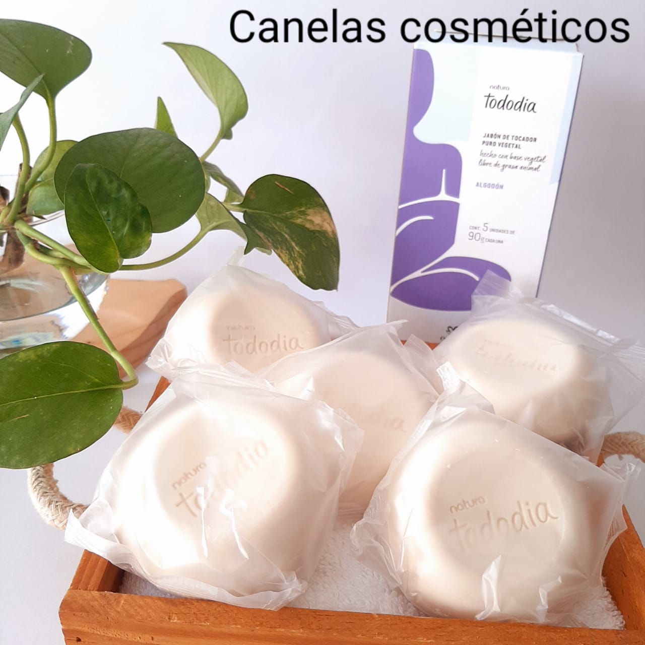 JABONES TODODIA ALGODON POR 5 UNIDADES 90g C/U