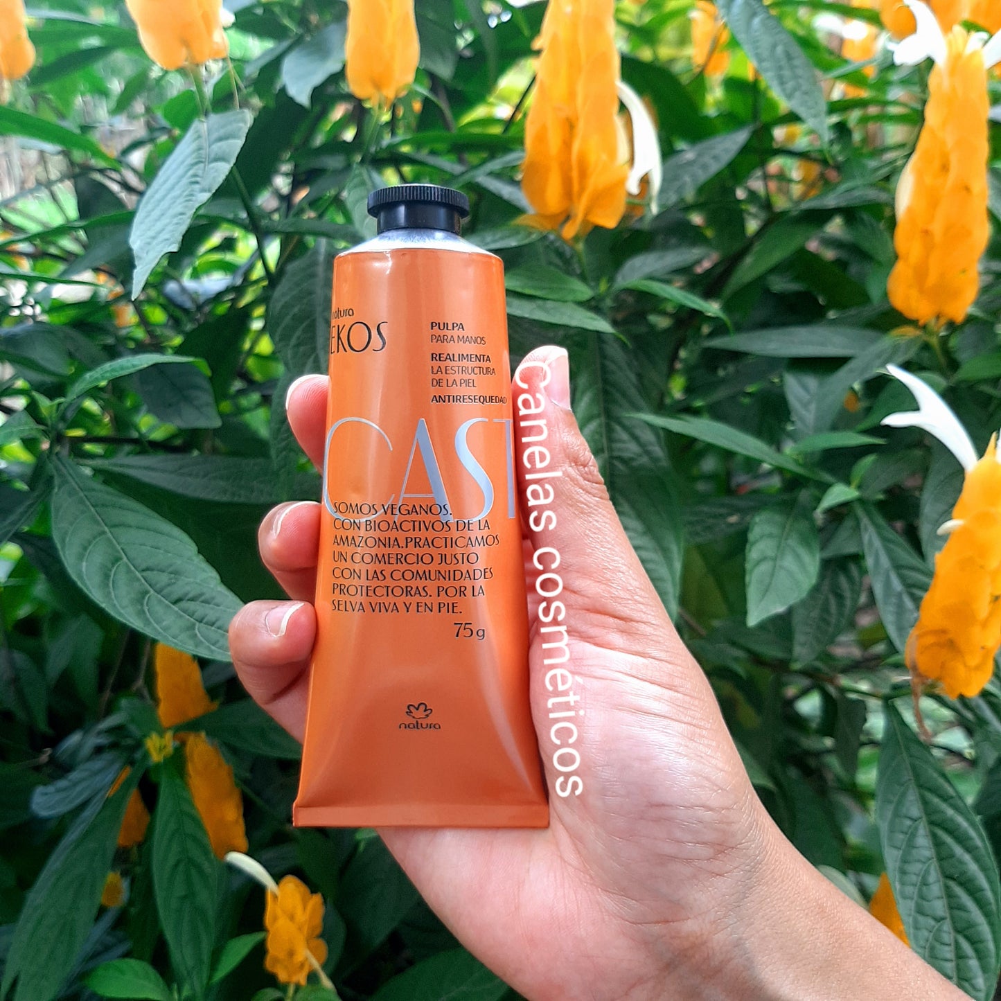 PULPA HIDRATANTE PARA MANOS EKOS CASTAÑA 75g